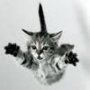 Katla's Avatar