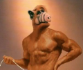 ALF's Avatar