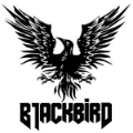 blackbird's Avatar